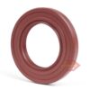 0.75x1.25x0.315 inch FKM Rubber Double Lip Rotary Shaft Oil Seal with Garter Spring TC