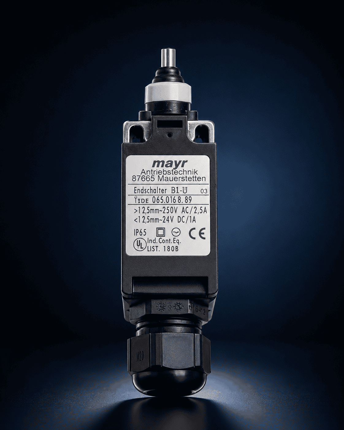 Industrial limit switch
